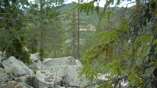 Vaimisberget