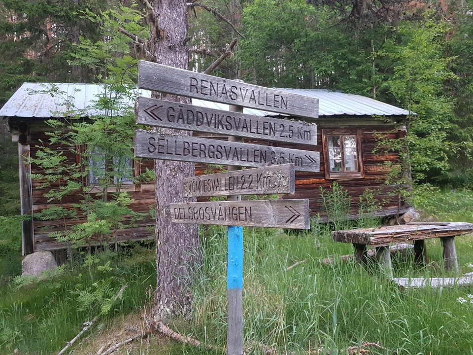 Renåsvallen