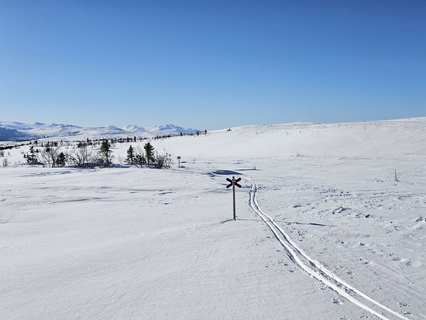 Ett skidspår som leder rakt ut i snön på fjället