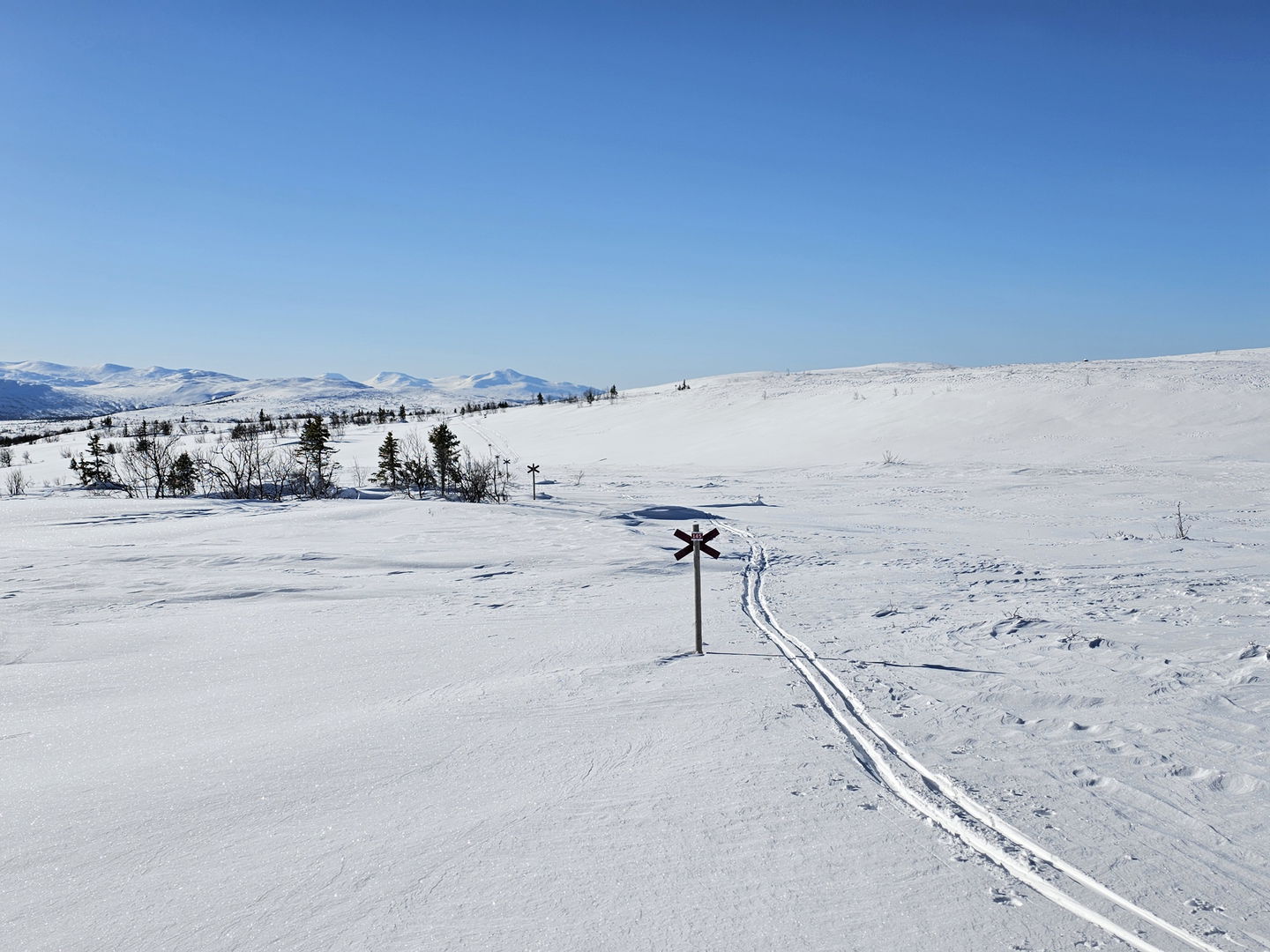 Ett skidspår som leder rakt ut i snön på fjället