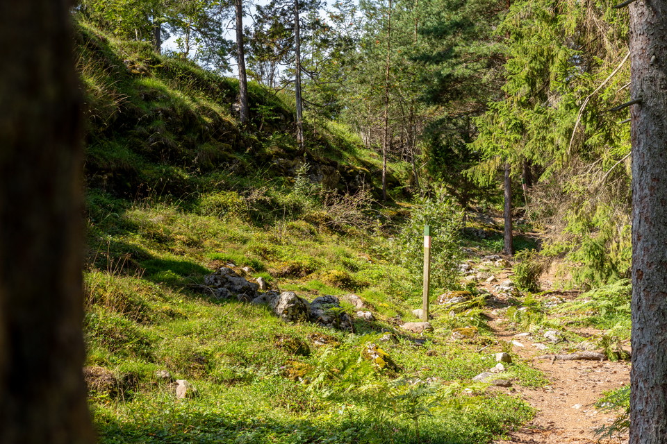 En högre slänt med sten till vänster och en liten stig till höger. I skogsmiljö.