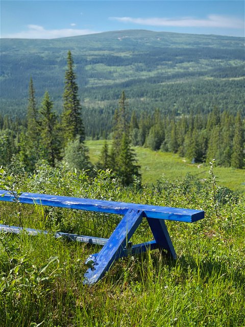En blå bänk ståendes i en grön skidbacke