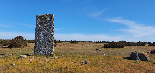 Tingstad flisor