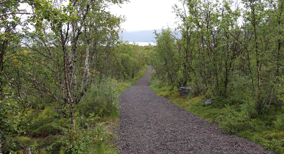The gravel road down to the shore.