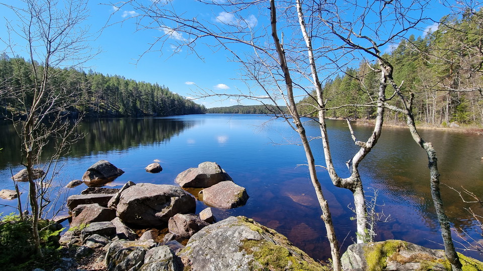 Vy över tjärn, vår, blå himmel.