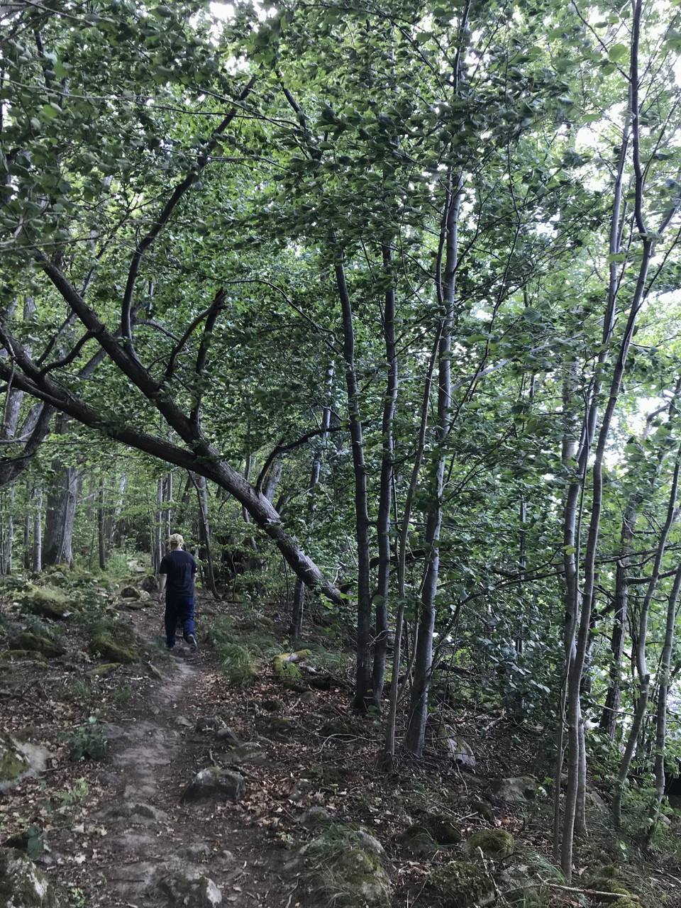 Foto: Tingsryds kommun