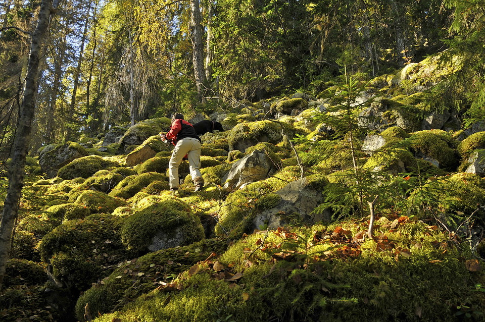 På väg upp mot toppen