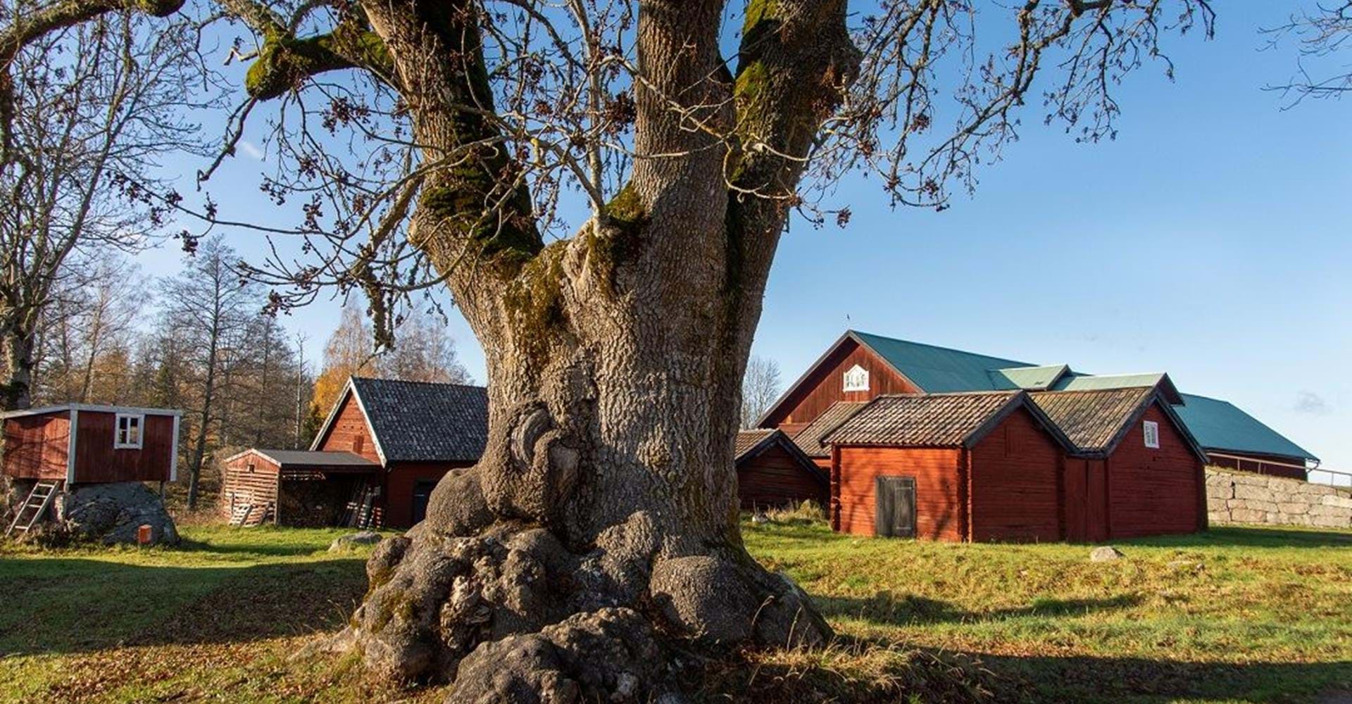Gårdsmiljö
Etapp: Hallstadrundan och Pålehult-Rimforsa
Kinda