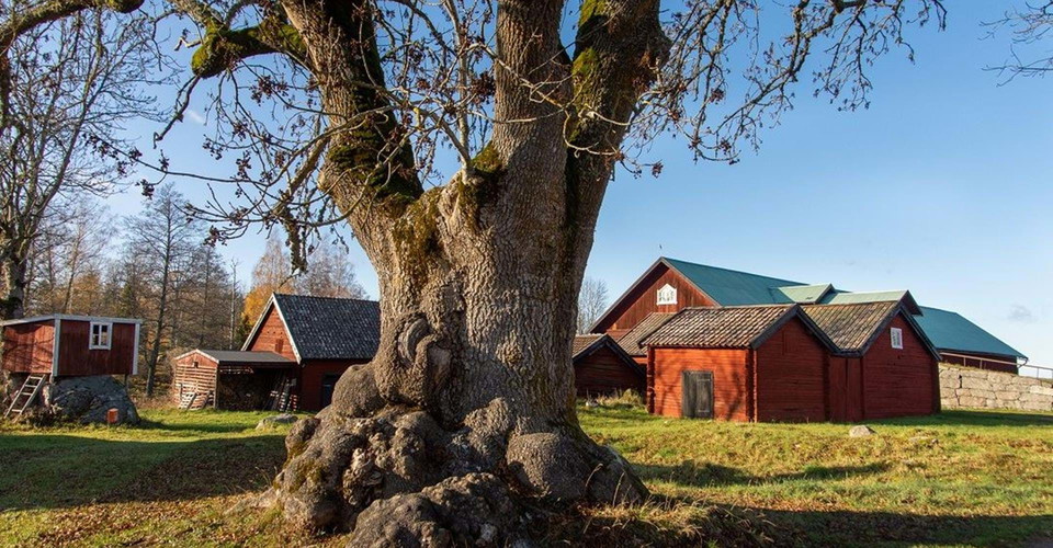 Gårdsmiljö
Etapp: Hallstadrundan och Pålehult-Rimforsa
Kinda