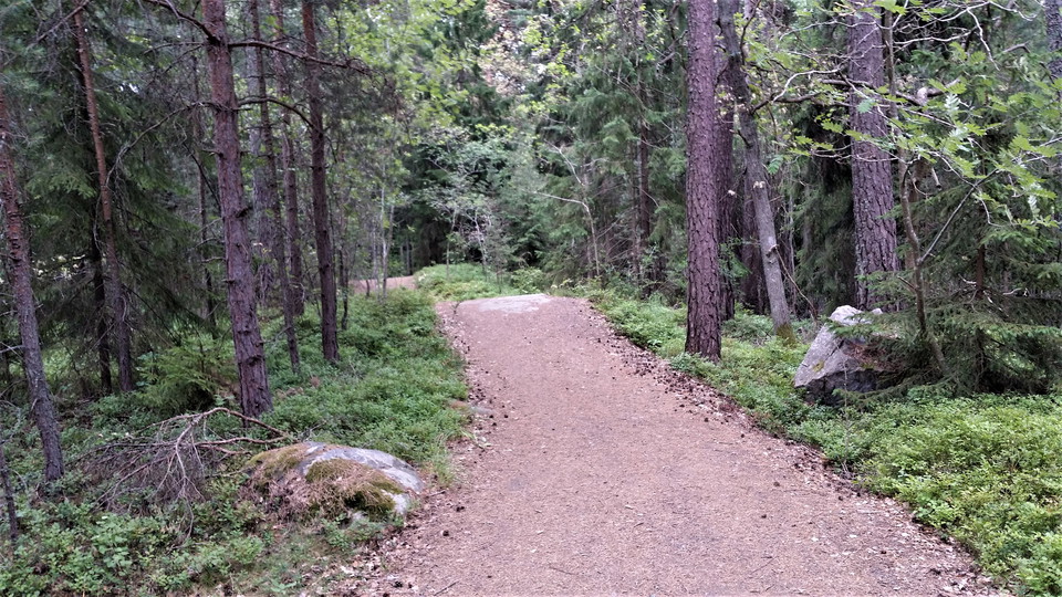 Lidingöloppsspåret norr om Rudboda. Foto Lidingö stad