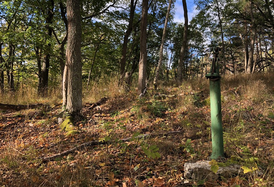 En grön pump vid en kulle med ekar.
