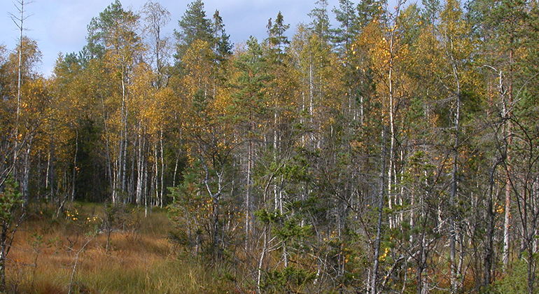 Råbäcken, Naturreservat