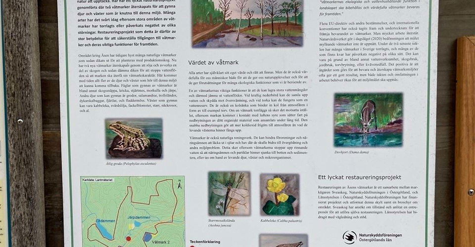 Infotavla om våtmarker i Åsens naturreservat
