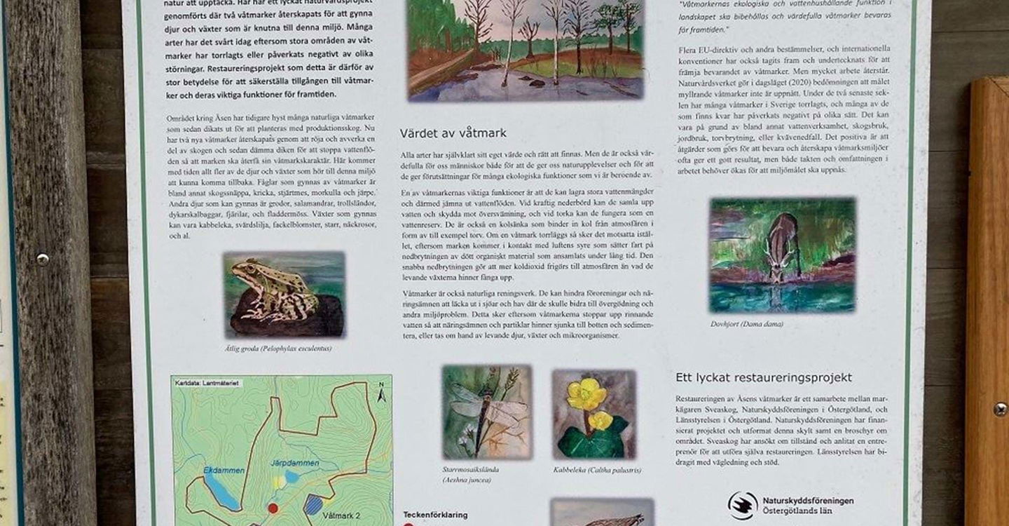 Infotavla om våtmarker i Åsens naturreservat