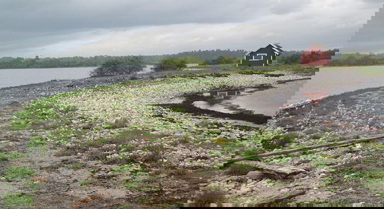 Fotograf: Malin Miller