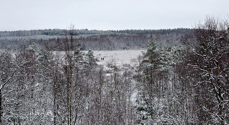 Vinterutsikt från fågeltornet.