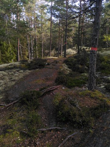Nynäs slott - Sandviks badplats, Sörmlandsleden, etapp 52
