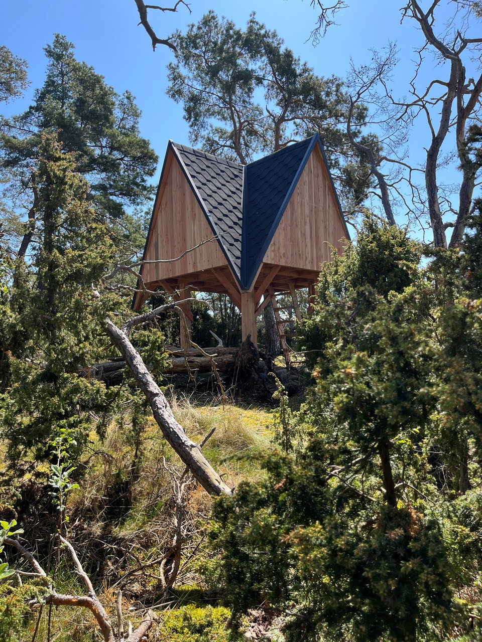 ARKNAT – a specially designed windbreak along Kalmarsundsleden