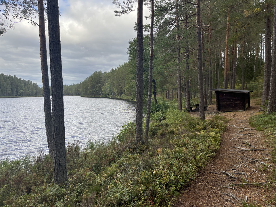 Vindskydd Övre Långtjärn