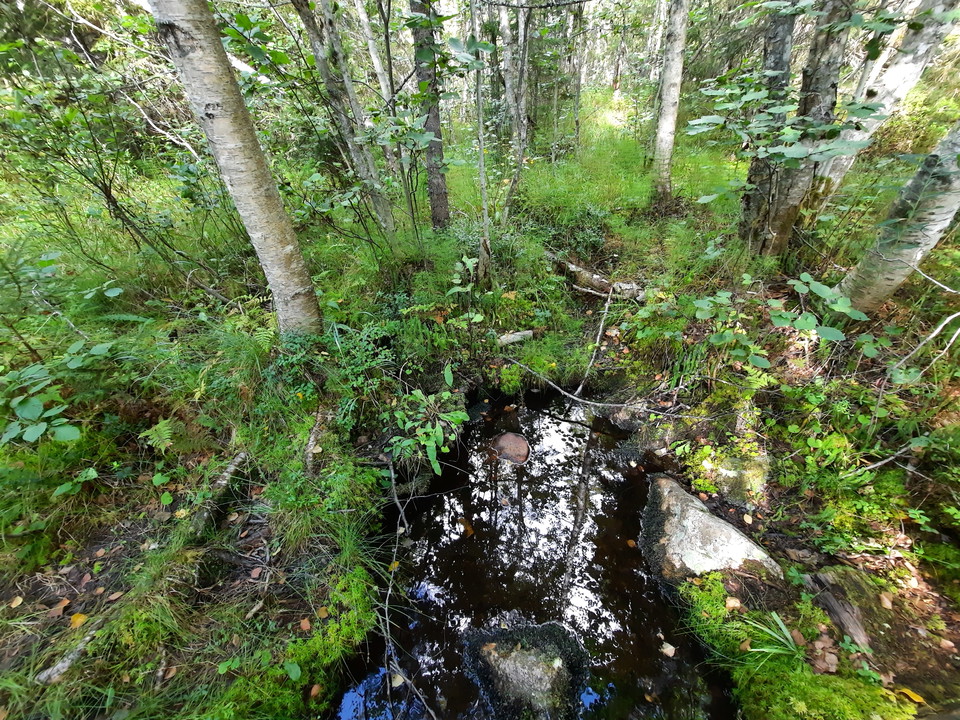 Naturlig källa finns intil kojan