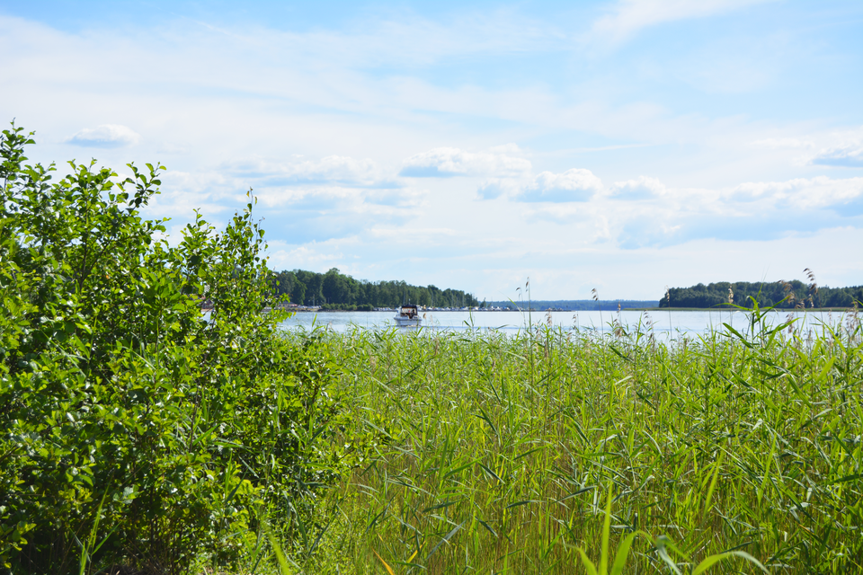 Mjälen