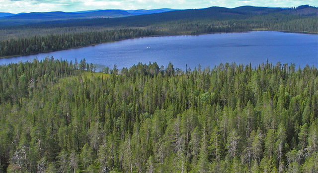 Nuortaliden