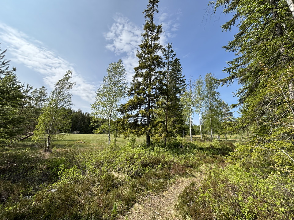 Kortare vandring i reservatet