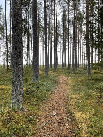 Hemlingby-Valbo köpcentrum, Gästrikeleden Etapp 1