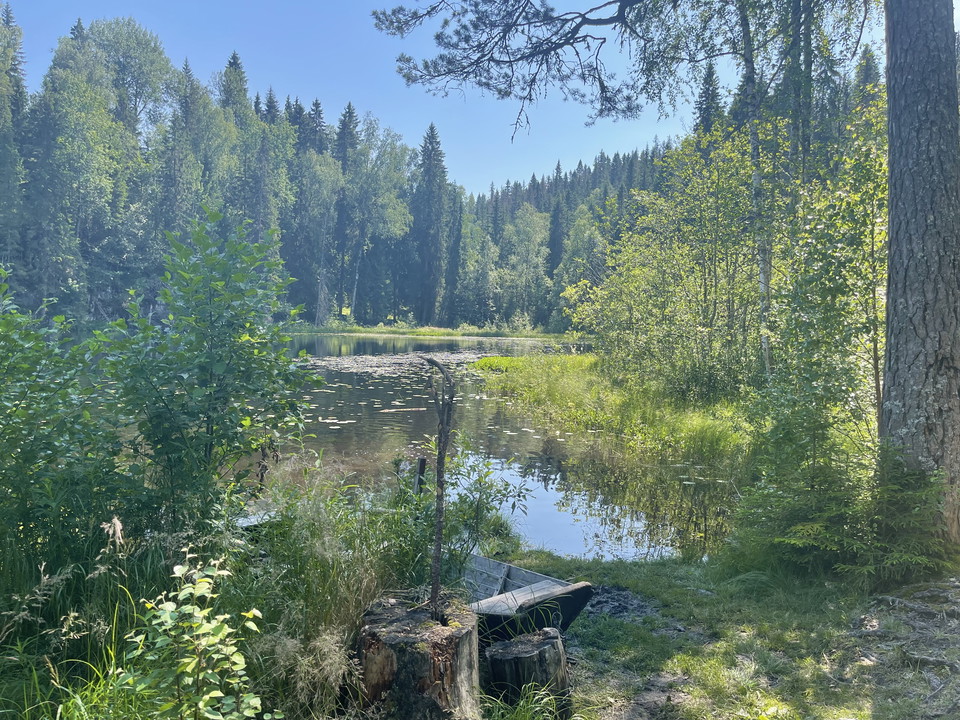 Vy över sjön Jätturn