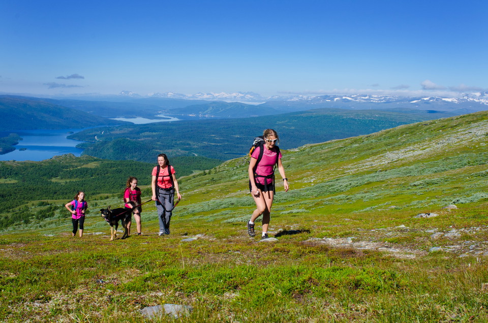 Vandring på Ryfjället