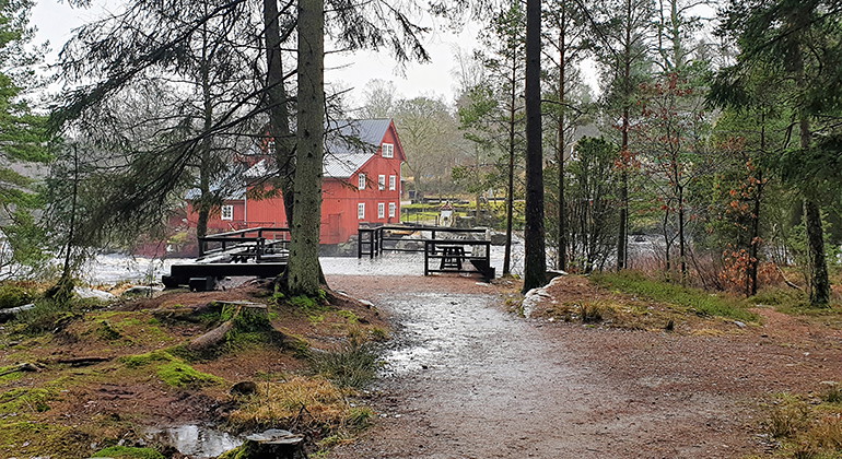 Stig och grillplats i reservatet