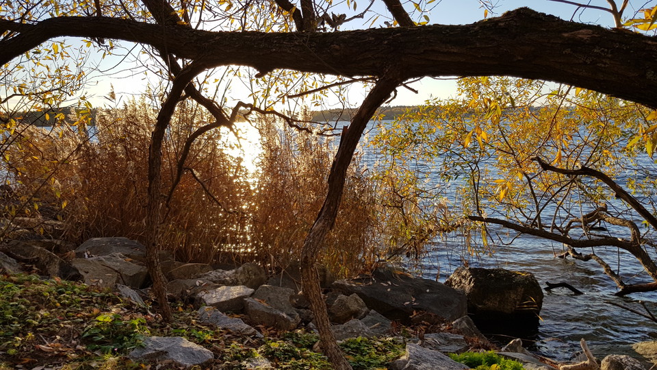 Strand i Kappsta. Foto Lidingö stad