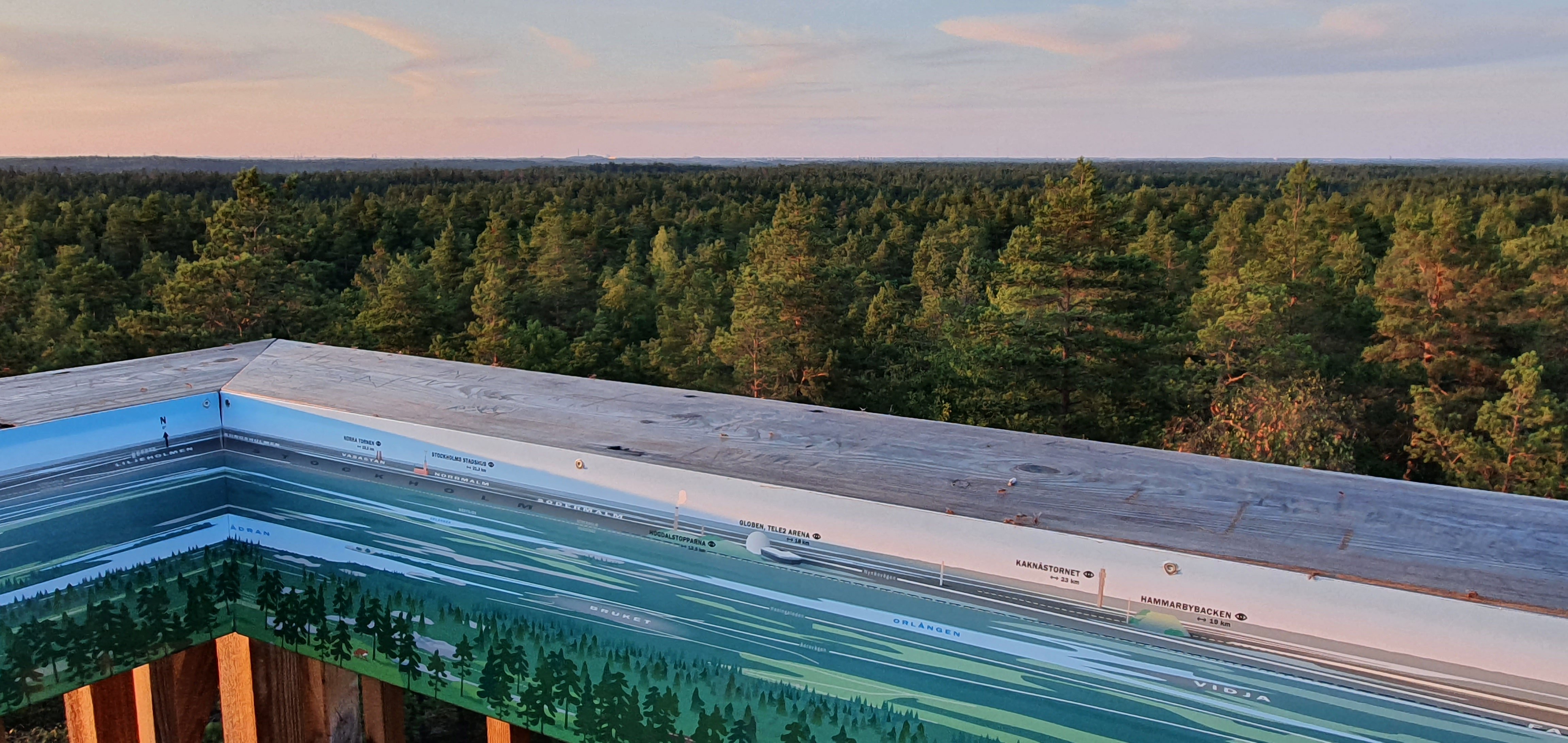 Översta plattformens räcke har en fastsatt panoramavy som följer hela räcket. Utsikten visar en vidsträckt skog och himmel.