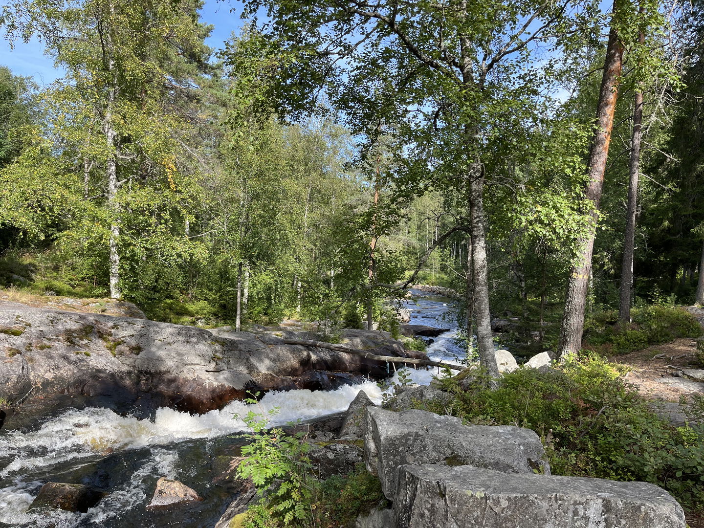 Skräddartorpsfallet