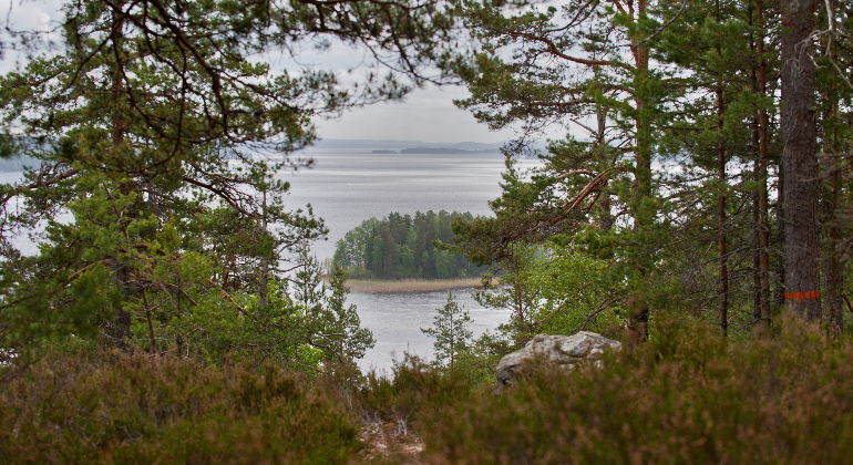 Vy över Glafsfjorden.