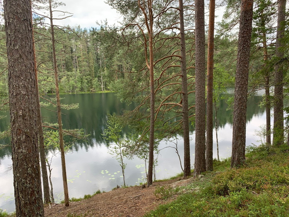 Vy över sjön i reservatet