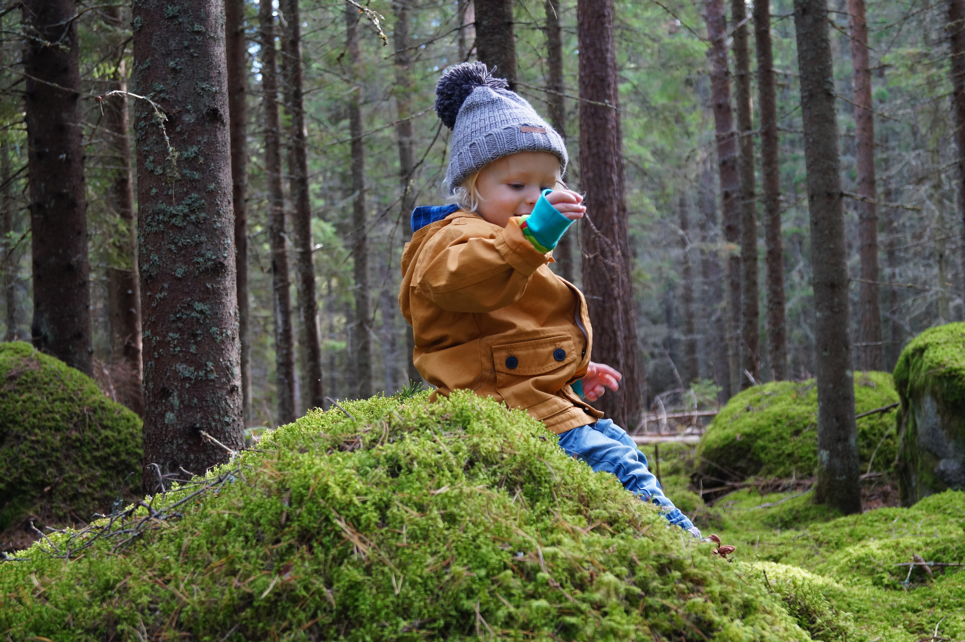 Foto: Katharina Svensson Vikström
