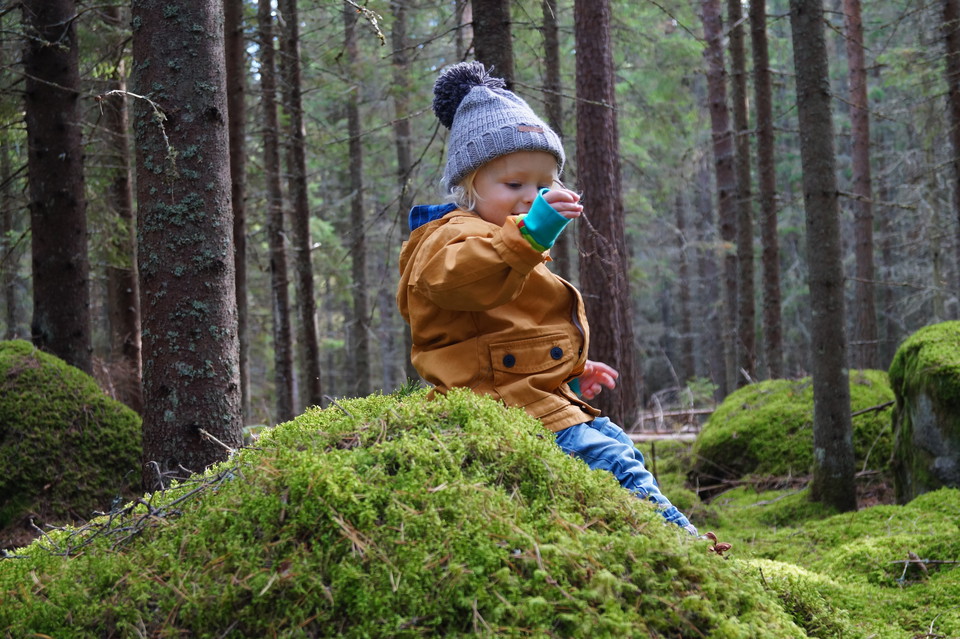 Foto: Katharina Svensson Vikström