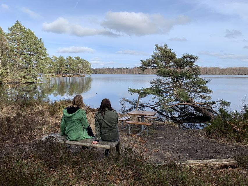 Gör en avstickare och gå Råshults blåa slinga. Här kan du njuta av utsikt över Såganässjön.