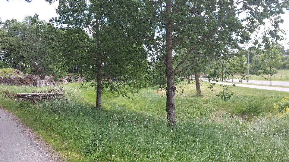 Lövstaån intill Viggesta ladugårdsgrund.