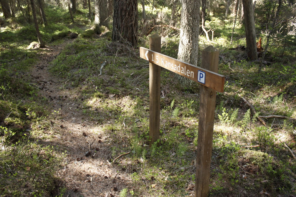 Vid en skogsstig står en vägvisare som pekar åt vänster. På skylten står texten "Kansadalen".