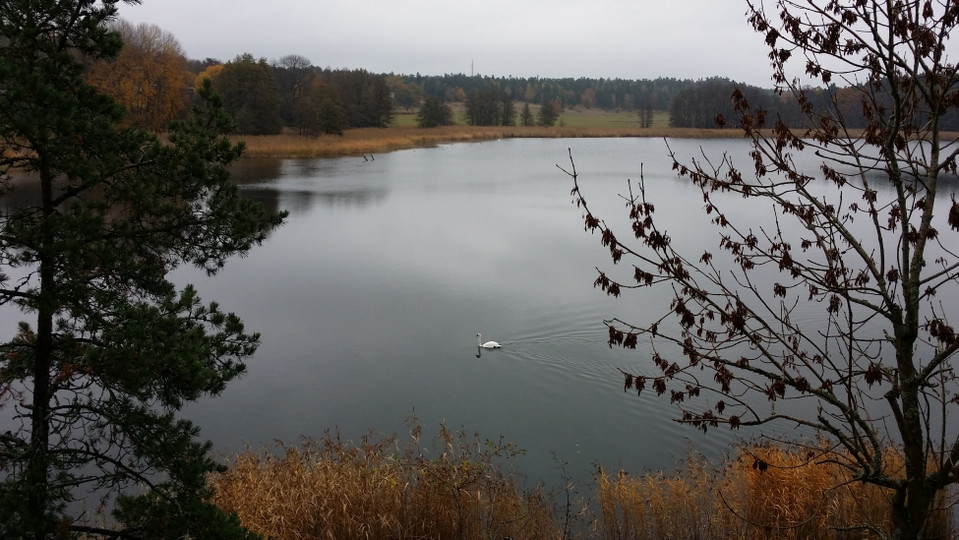 Gråviken sedd från utsiktsberg väster om viken. Foto Lidingö stad