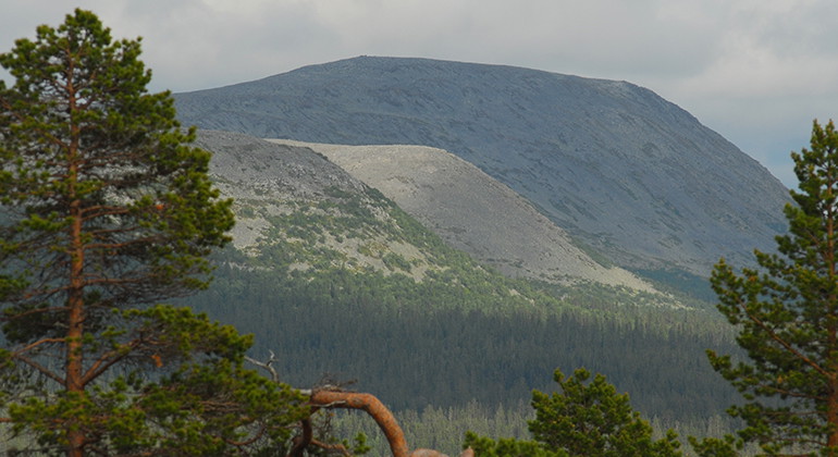 De likadant skurna topparna i södra delen av nationalparken.