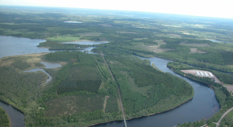 Pannkakan är ett unikt delta med stor artrikedom.