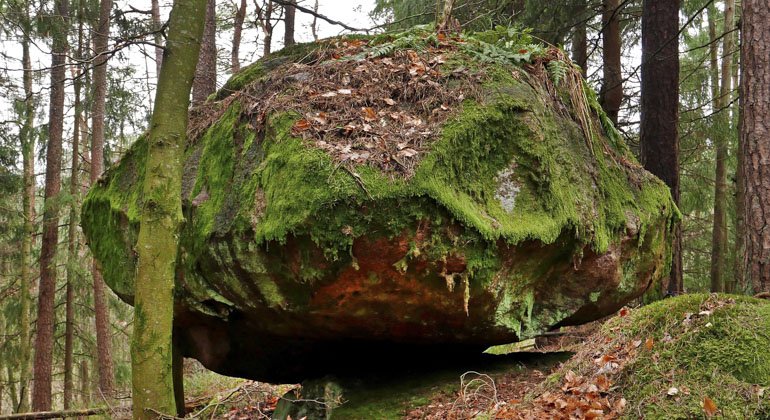 stor sten som lutar sig mot en smal trädstam