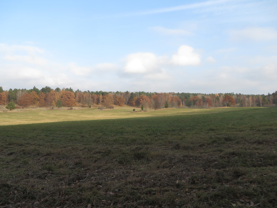 Ängen vid Långängens café