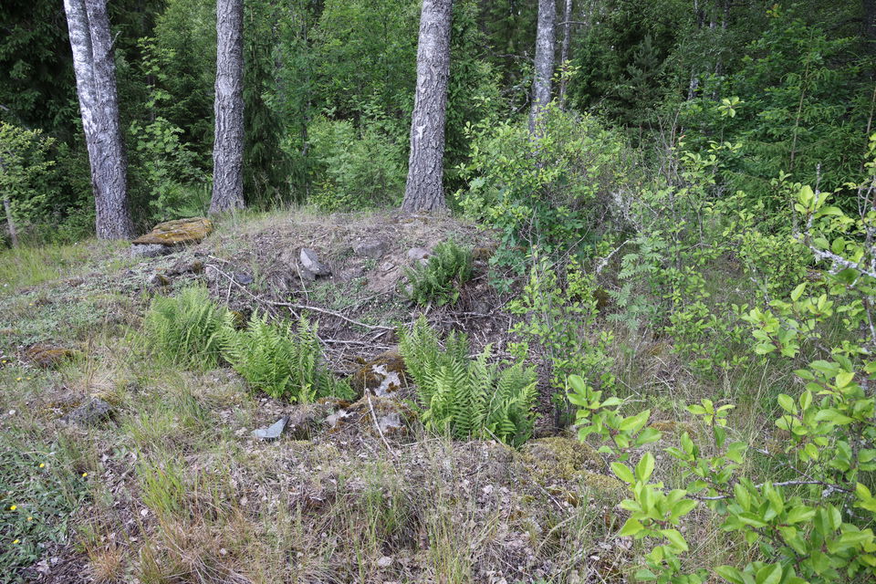 Foto: Niklas Kämpargård