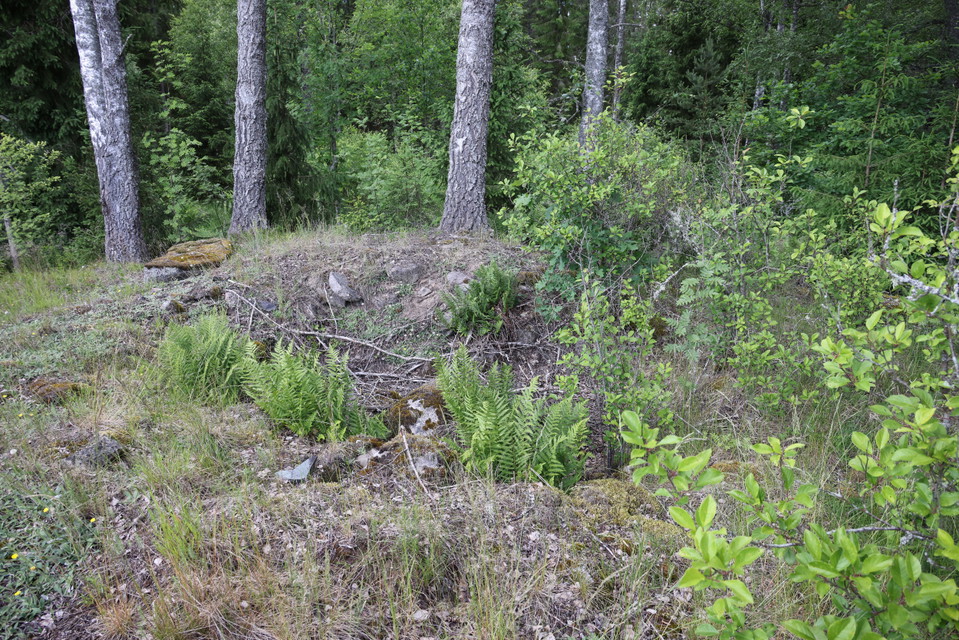 Foto: Niklas Kämpargård