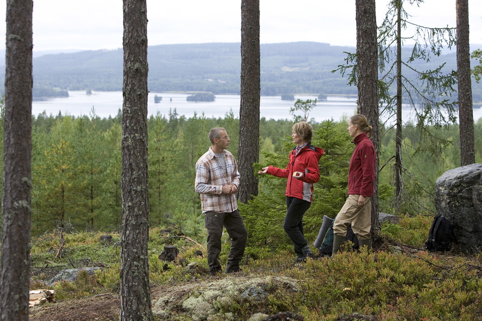 Fin utsikt över Varpan