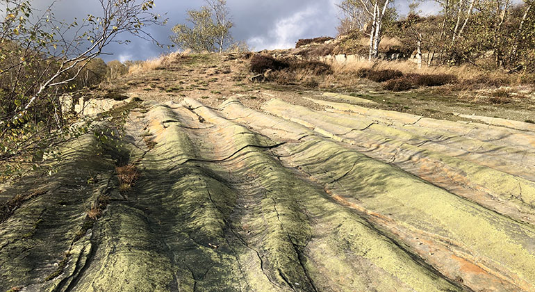 Böljeslagsmärken (förstenad havssandbotten).